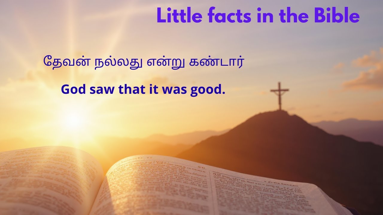 “God Saw That It Was Good” / தேவன் நல்லது என்று கண்டார்