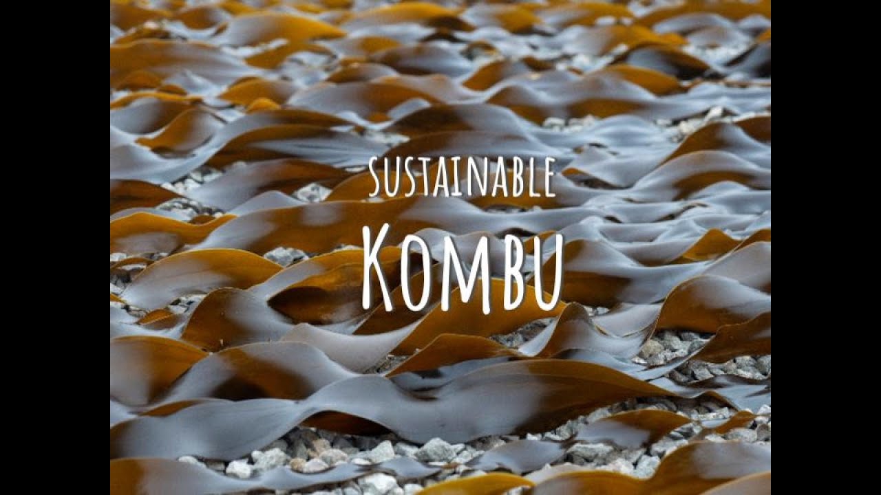 How our Kombu is produced