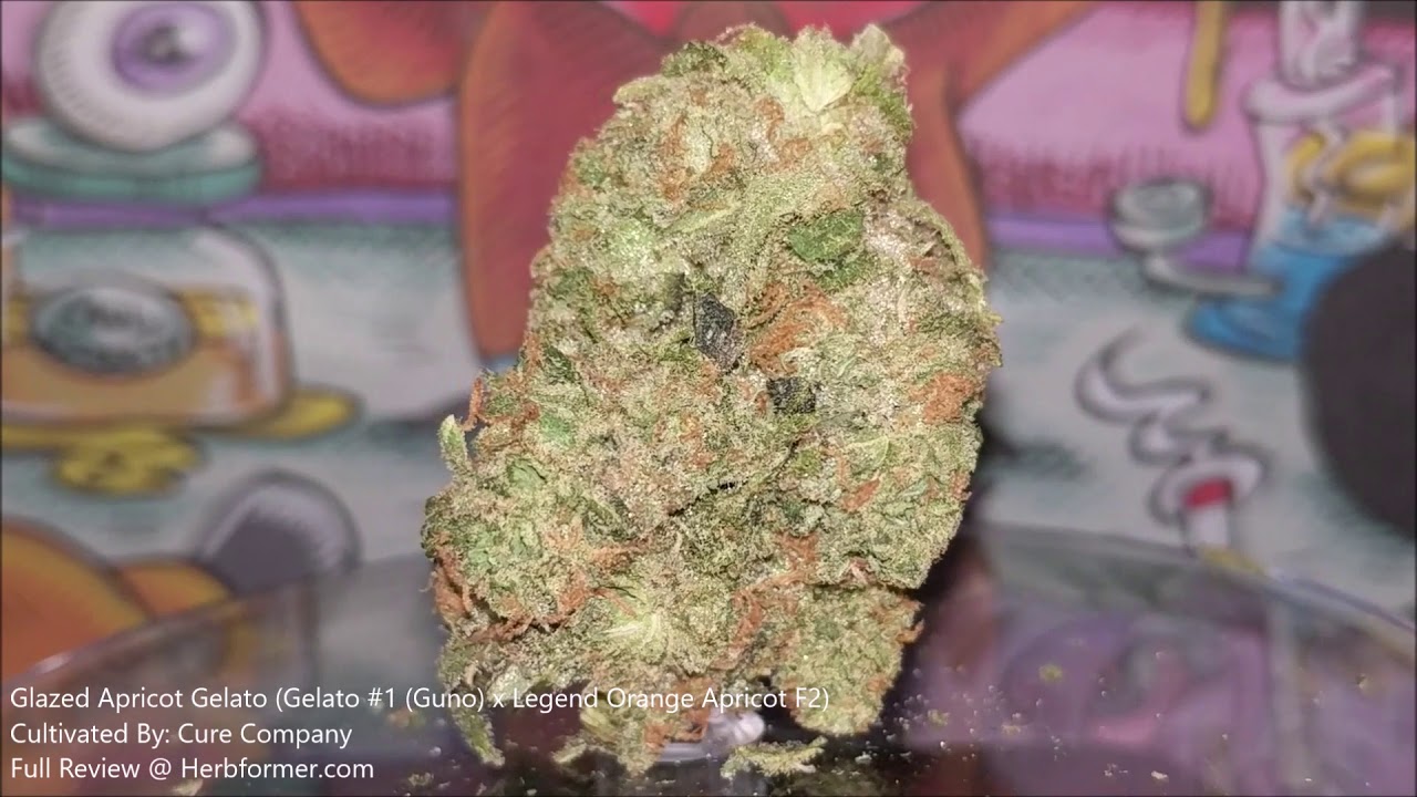 [Cure Company] Glazed Apricot Gelato