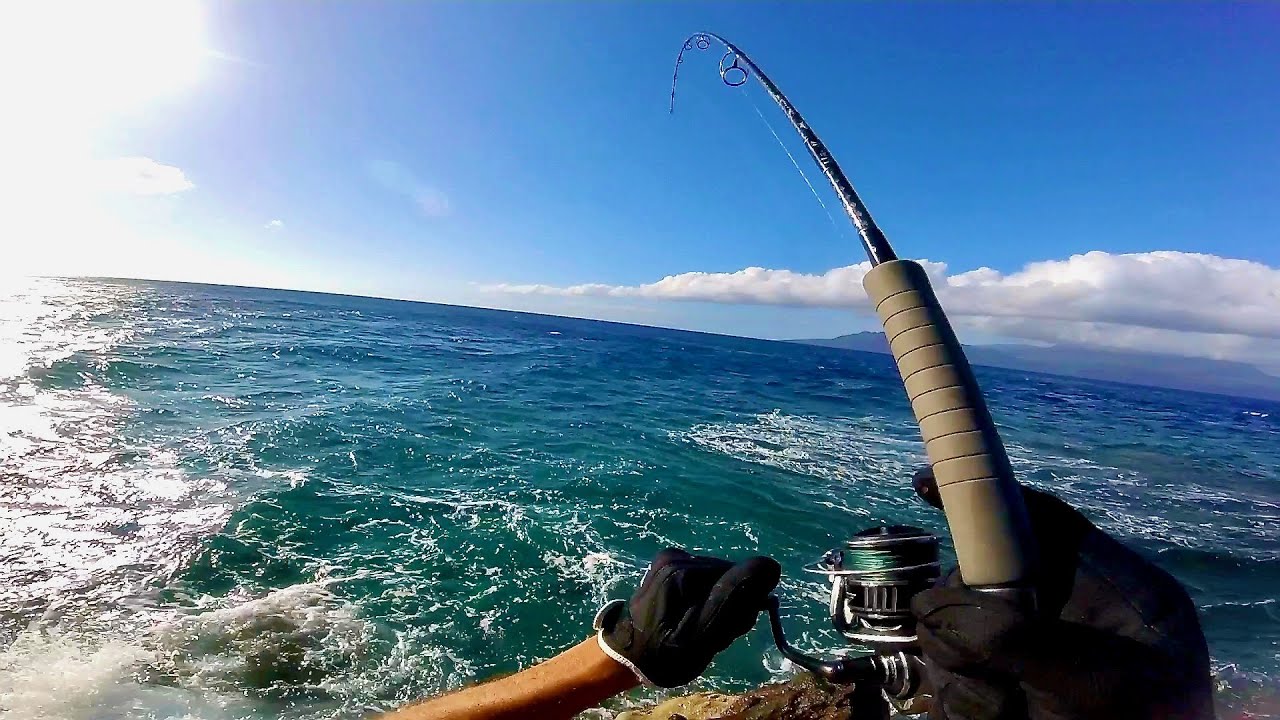 Petite Expédition Solo - Camping Et Pêche Dans Les Eaux Turquoise des Îles de Guadeloupe
