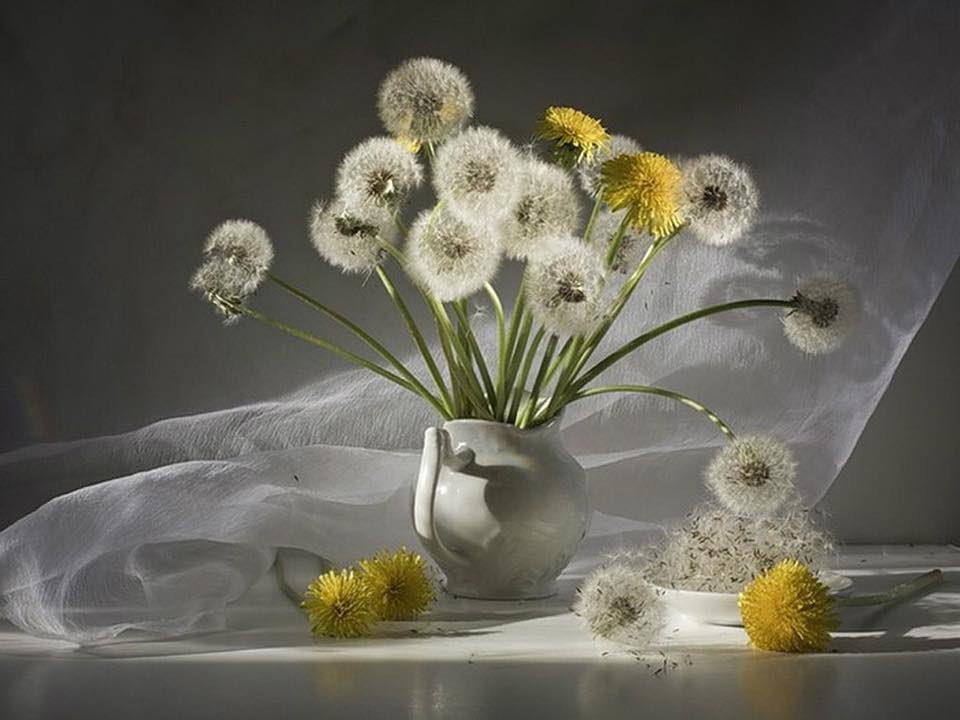 DANDELION OBSESSION, REAL DANDELIONS JEWELRY BY OKSANA BELL