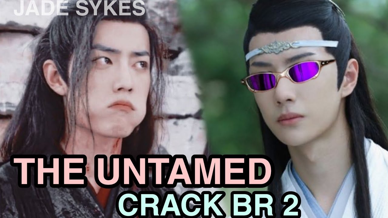 THE UNTAMED (MDZS) | CRACK BR #2
