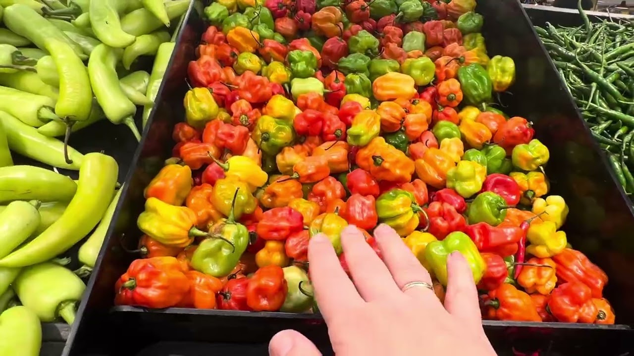 LuLu продуктовый гипермаркет Дубай . Путешествия бюджетно .