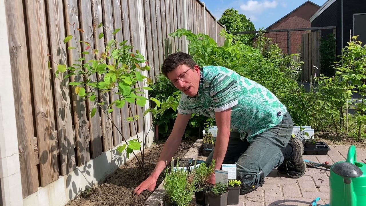 Een geveltuin maken met Bram