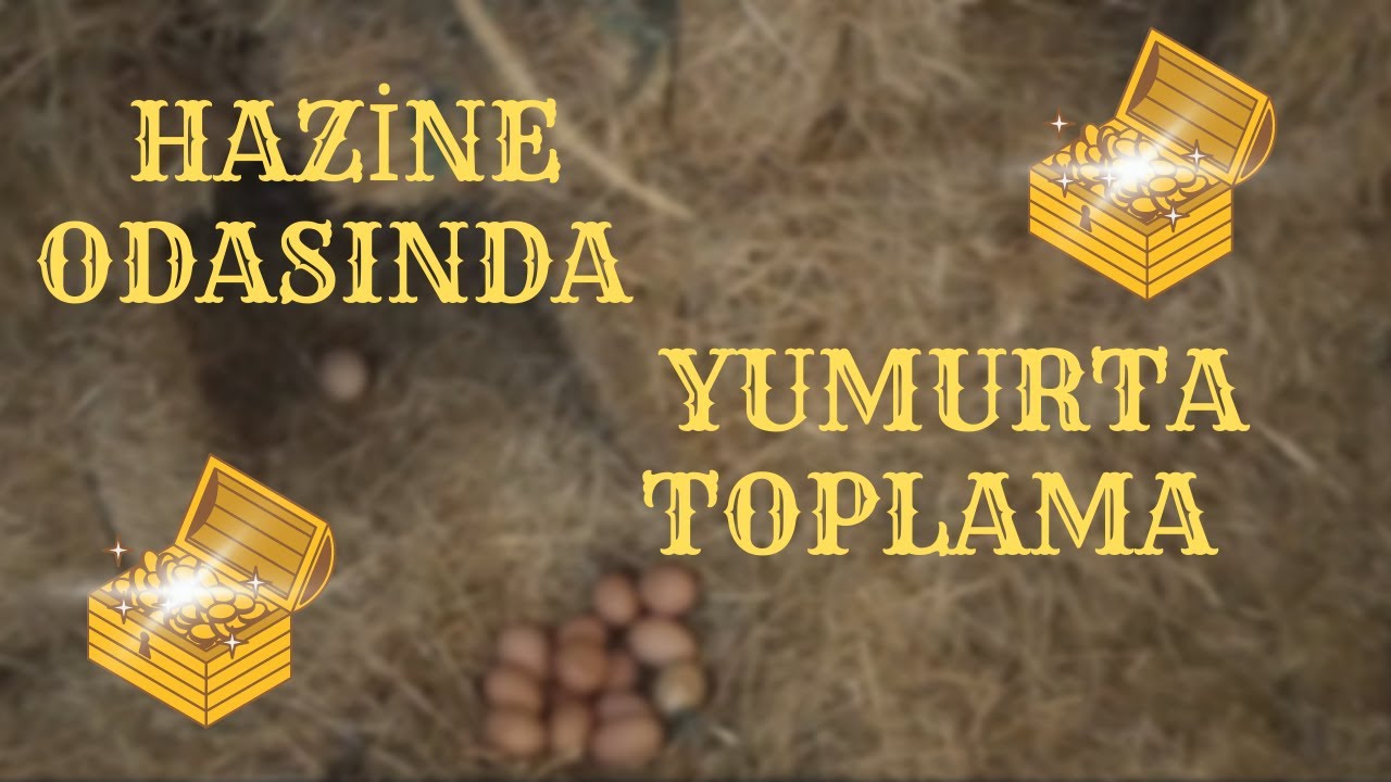 HAZİNE ODASINDA EFSANE YUMURTA TOPLAMA ☆HER TARAF GURK ☆BOZULAN YUMURTALAR ☆GANİMET YİNE İYİ ÇIKTI ☆