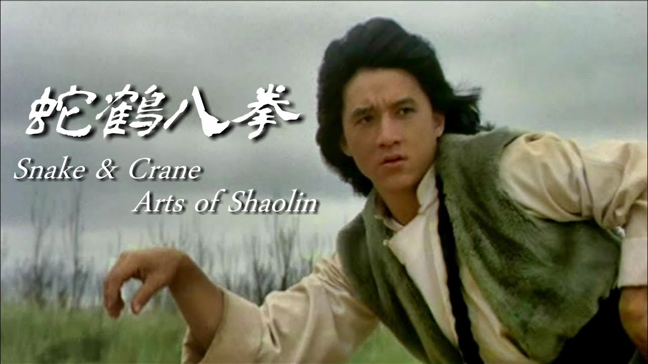 蛇鶴八拳 / ED風MAD「Snake & Crane Fighting」TV-Size