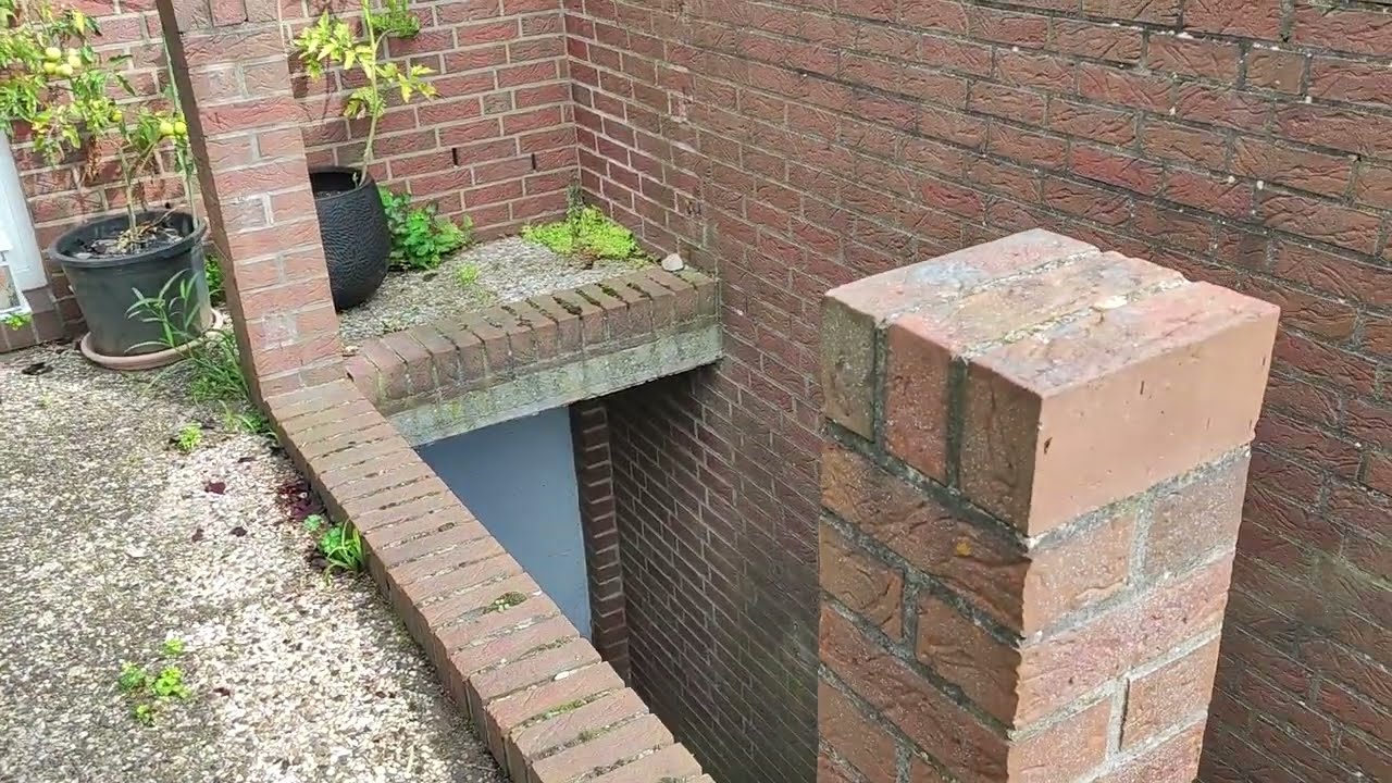 Kellereingang Betonfugen und Holzzaunelemente erneuern