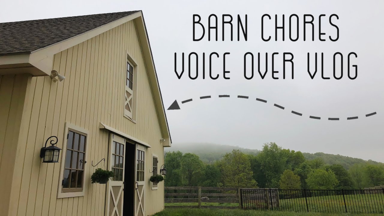 BARN CHORES VOICE OVER VLOG • Chatting While Doing Chores, Grooming & Tacking | Equestrian / Eventer