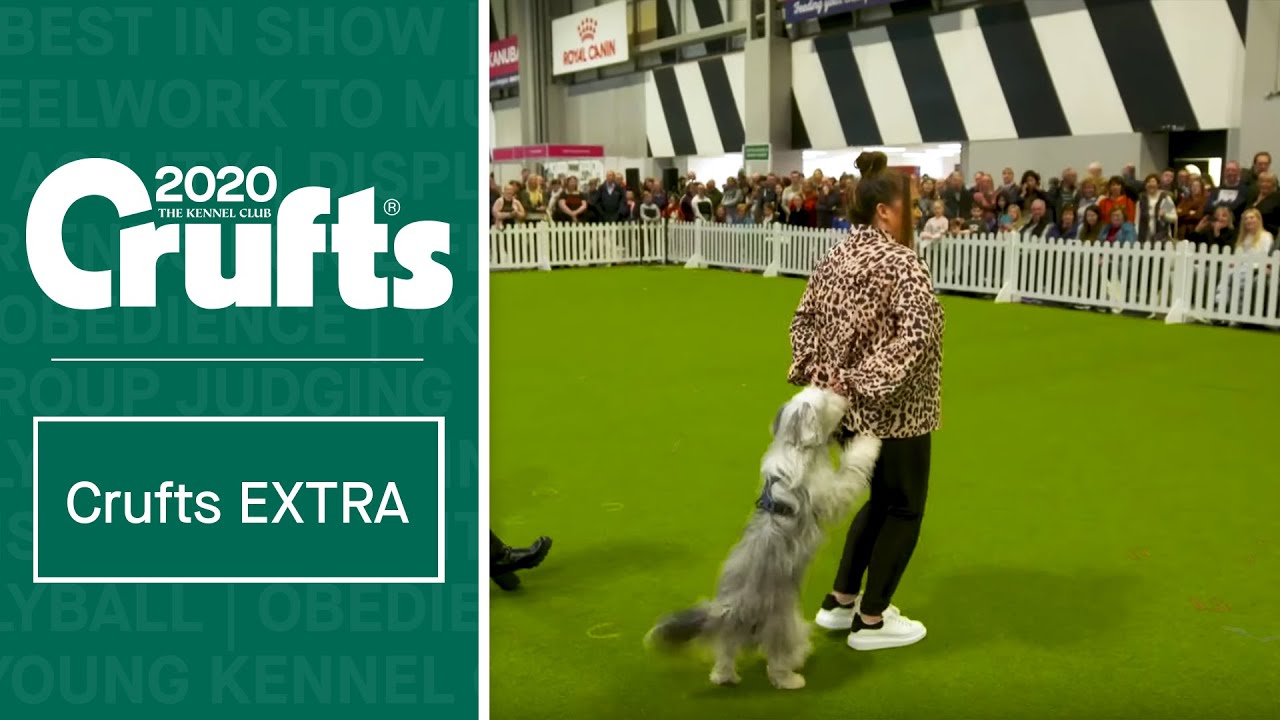 Ashleigh Butler shares some of her favourite Heelwork tricks | CruftsEXTRA
