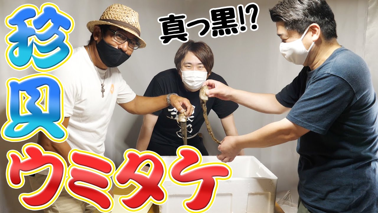 めちゃくちゃレア！珍貝ウミタケが手に入りました！