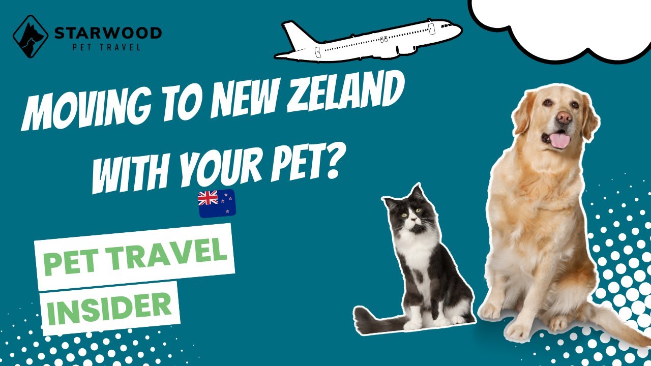 Pet Travel to New Zealand: Complete Step-By-Step Guide (4–6 Month Timeline Explained)
