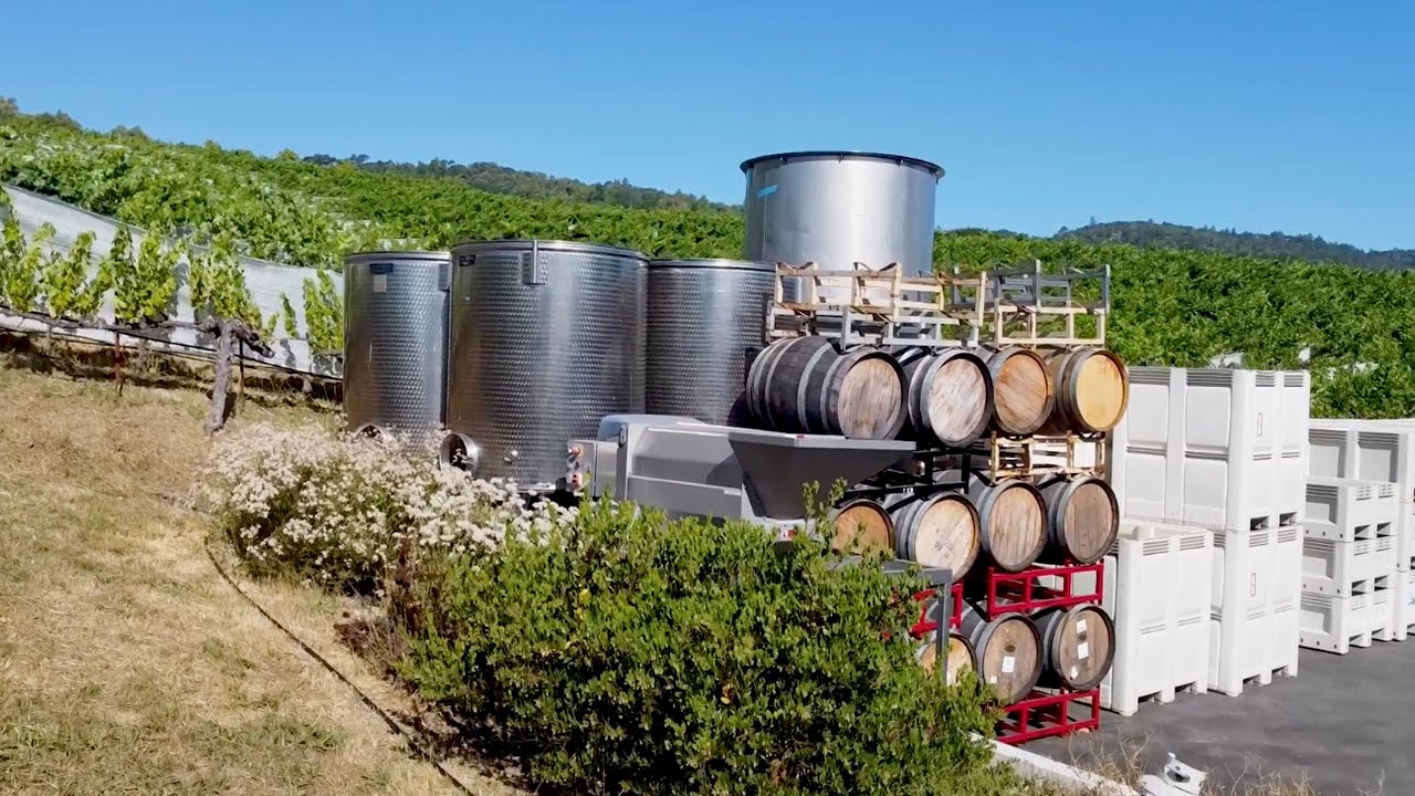 Diverse Vineyards & Landscapes Support Better Pest Control