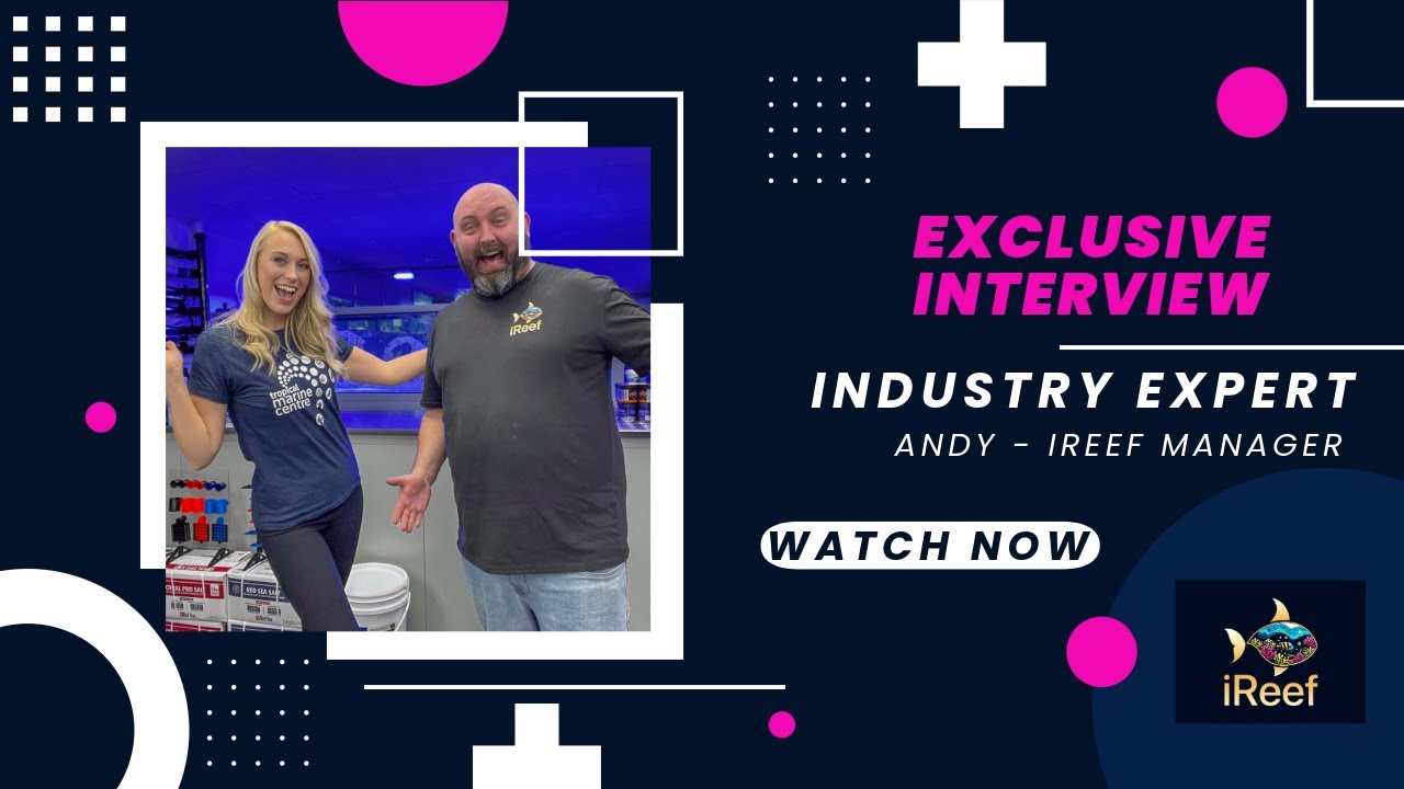 Interview with Andy - iReef Store Manager