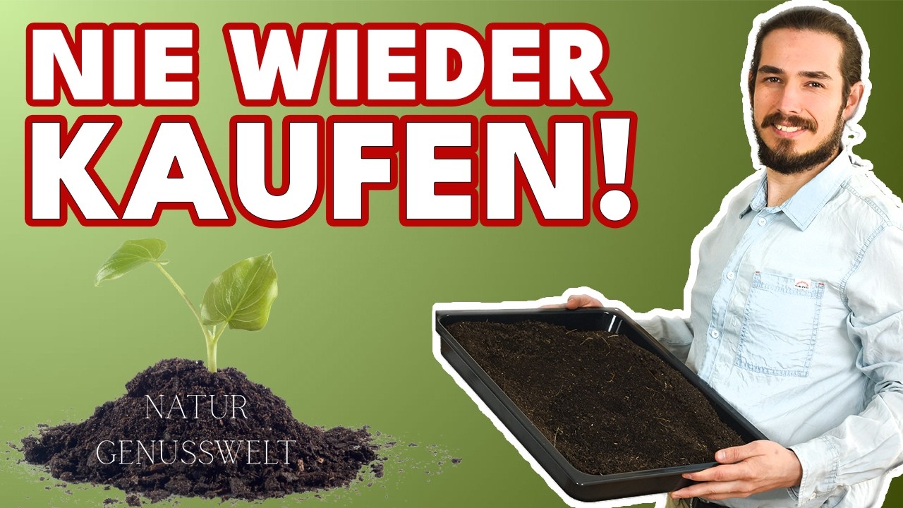 Aussaaterde selber machen – so gelingt die Anzucht | Trauermücken frei!