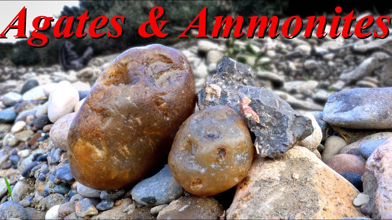 Big Agates & Colorful Ammonites! Rockhounding the Yellowstone River for Beautiful Treasures!