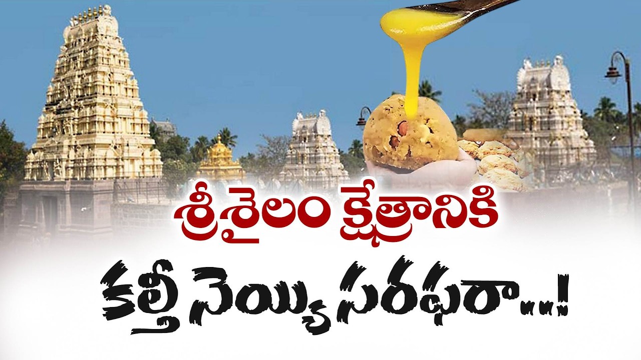శ్రీశైలం దేవస్థానానికీ కల్తీ నెయ్యి సరఫరా | Fake Ghee Supplied to Srisailam Temple | SIT Findings