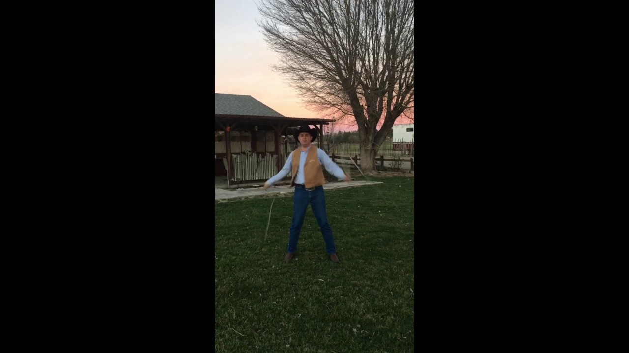 Whip  Demonstration
