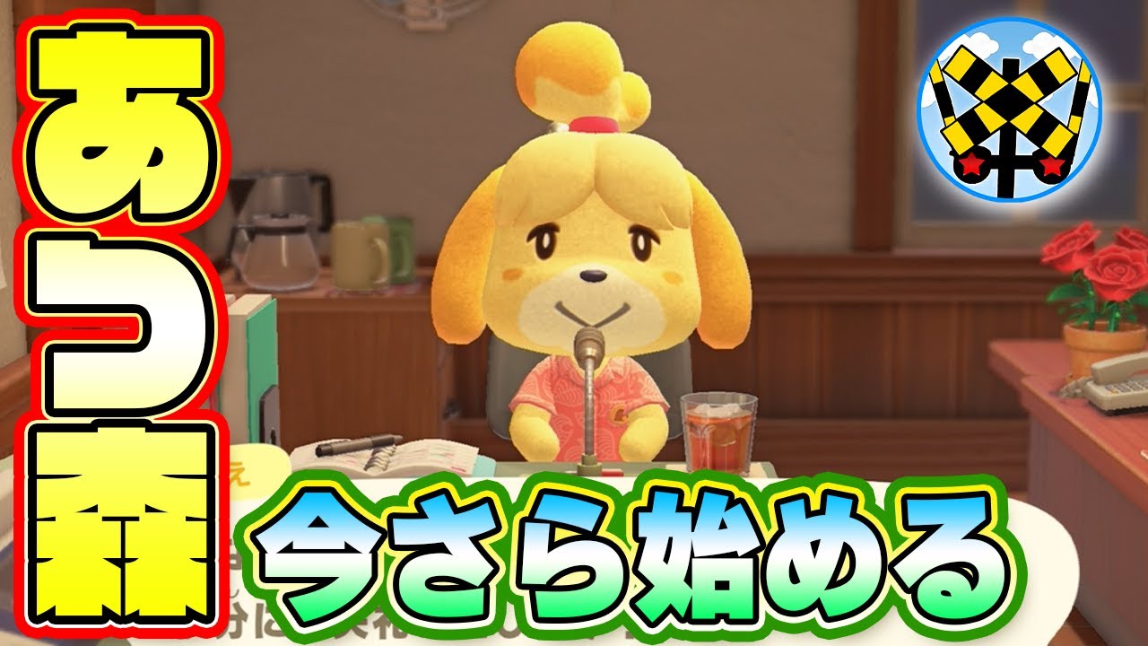 今更あつ森始めるふみっきー君⑤とたけけがくるよ。お布団で配信　#どうぶつの森
