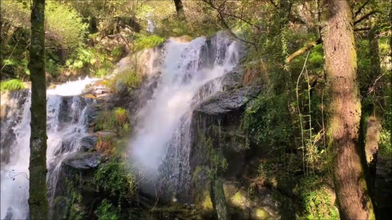 CASCATA DA CABREIA  - SEVER DO VOUGA