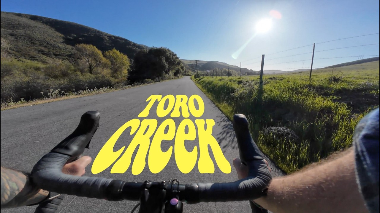 Toro Creek ranch ramblin' with coastal cows
