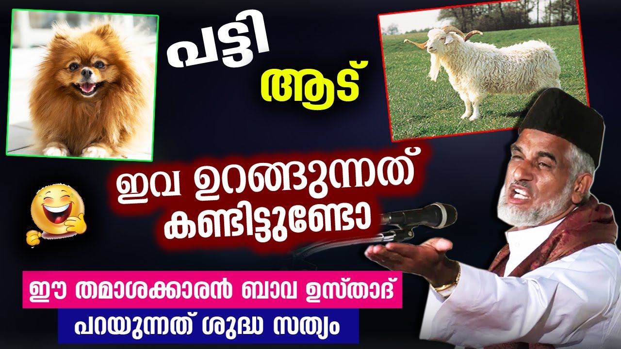 ആട്... പട്ടി... ഇവ ഉറങ്ങുന്നത് കണ്ടിട്ടുണ്ടോ... ഈ ബാവ ഉസ്‌താദ്‌ പറയുന്നത് ശുദ്ധ സത്യം Bava Usthad