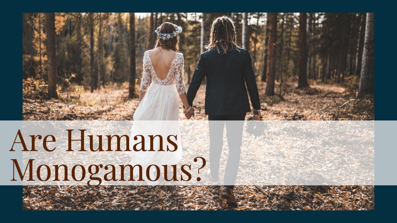 Are Humans Monogamous?