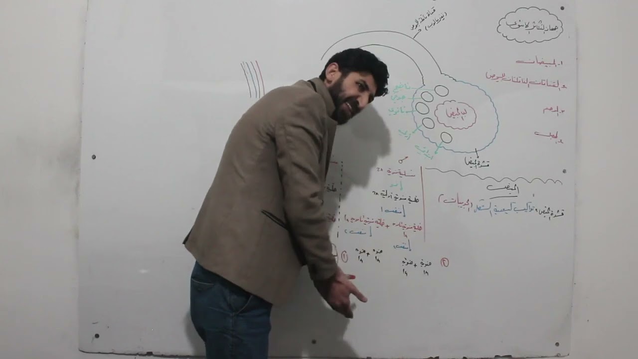 جهاز التكاثر الانثوي 1