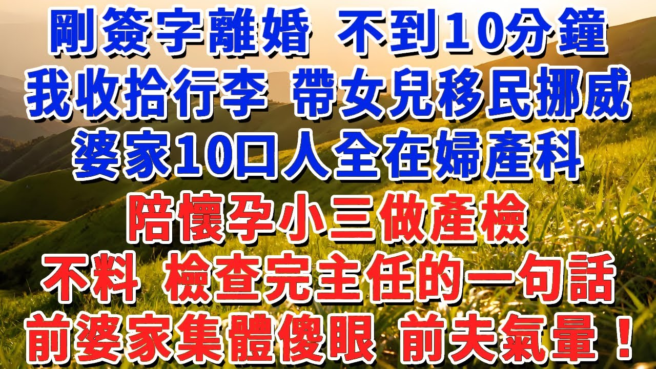 剛簽字離婚 不到10分鐘，我收拾行李 帶女兒移民挪威，婆家10口人全在婦產科，陪懷孕小三做產檢，不料 檢查完主任的一句話，前婆家集體傻眼 前夫氣暈！#小娟講故事 #情感故事 #老年生活