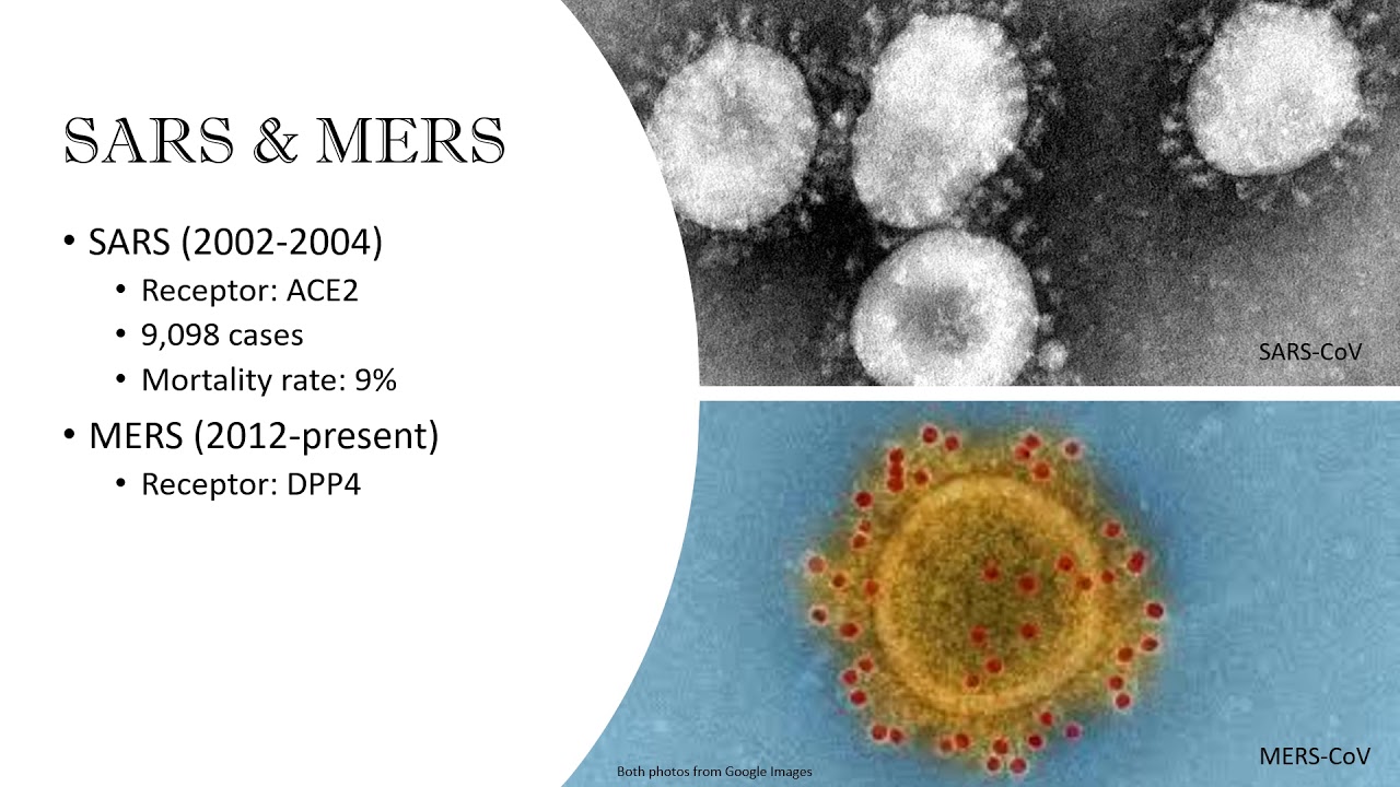 Medical Microbiology of COVID-19 Pandemic