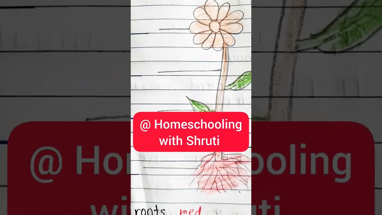 Science Practice Sheets for Grade-1 || Internal body parts, Food, Plant and Animals activities | ...