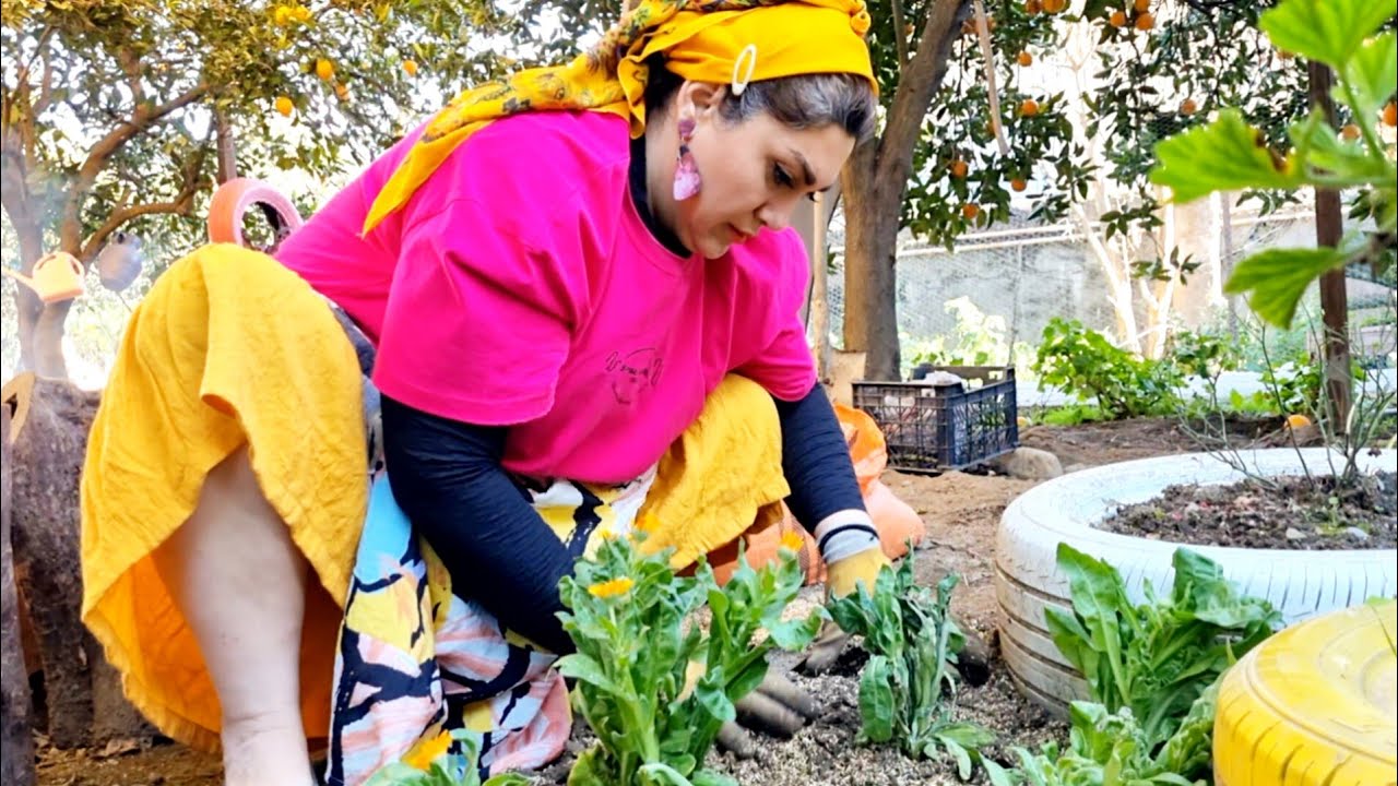 From Garden to Fire | Rustic Eggplant Kebab & Open-Fire Rice