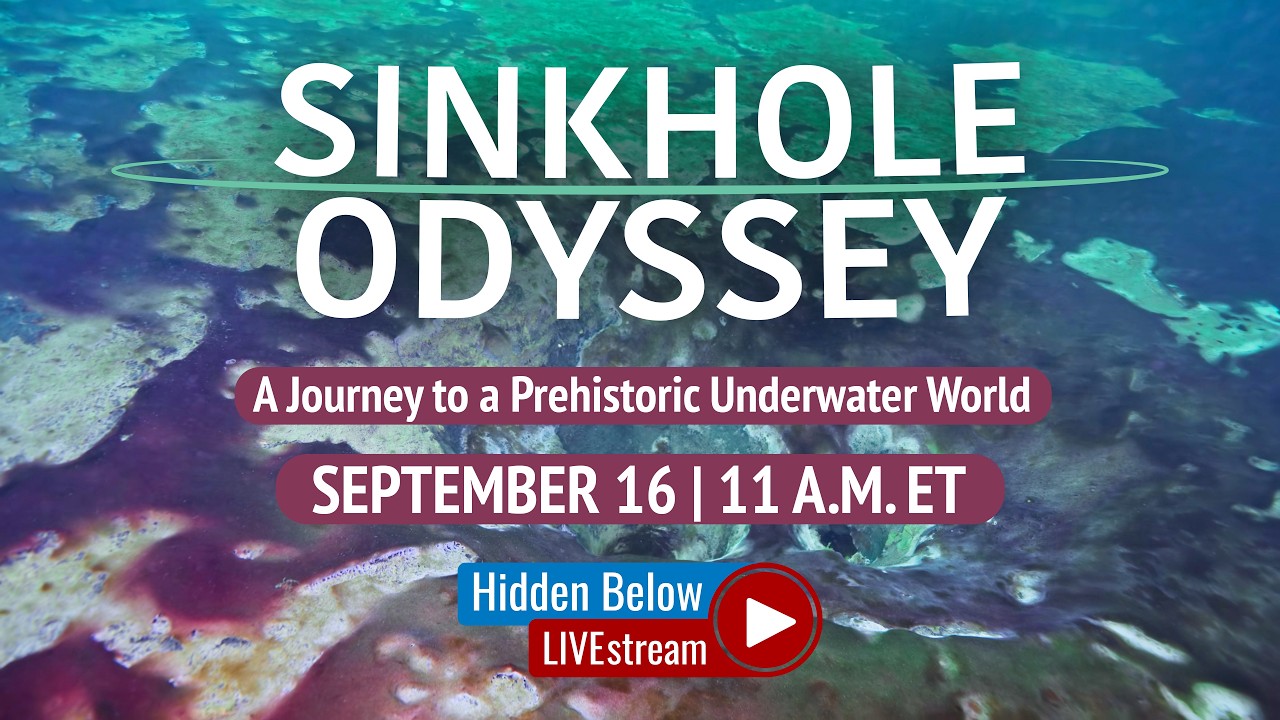 Sinkhole Odyssey | Hidden Below: Live