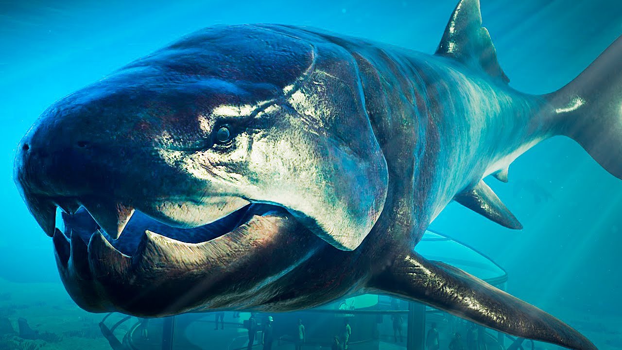 Dunkleosteus, Archelon e + | Jurassic World Evolution 2: Prehistoric Marine Species | (PT/BR)
