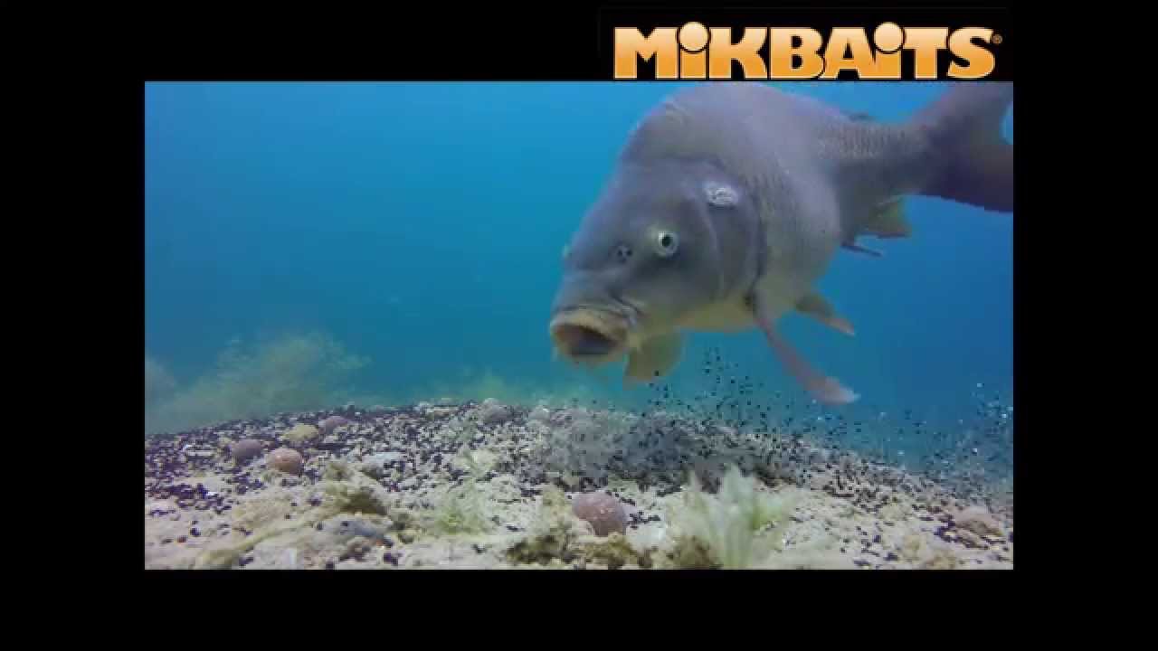 Pod vodou Hofi a Tony MIKBAITS