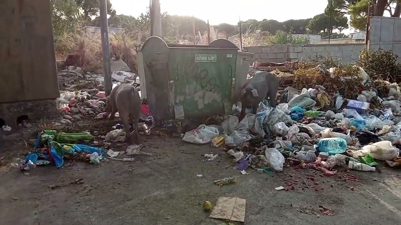 Первые впечатления о городе Влёра. АЛБАНИЯ 🇦🇱