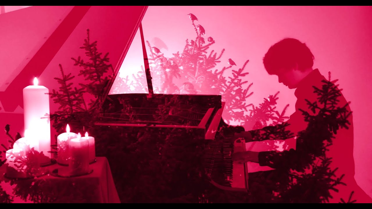 O Christmas  Tree | no. V | 24 Colors of Light | Christmas carols