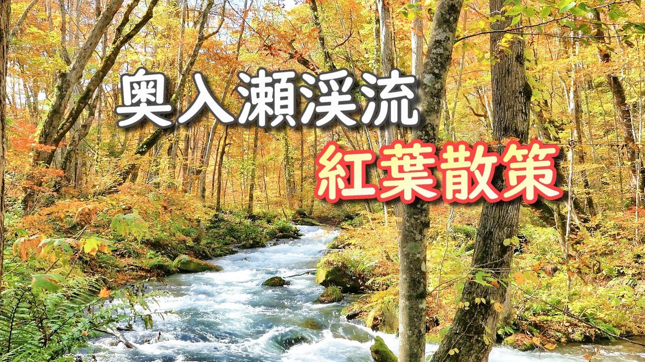 『奥入瀬渓流』紅葉散策（銚子大滝～阿修羅の流れ） / みちのく青森 （2021リメイク）[4K] #OiraseStream #AutumnLeaves #Aomori