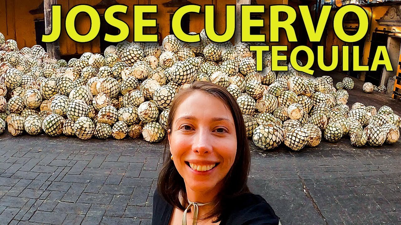 Jose Cuervo TEQUILA тур в Текиле Халиско Мексика 🇲🇽