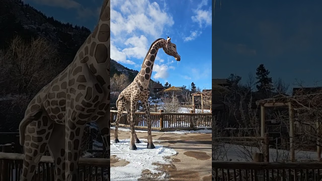 Temporary entrance into the Cheyenne Mountain Zoo