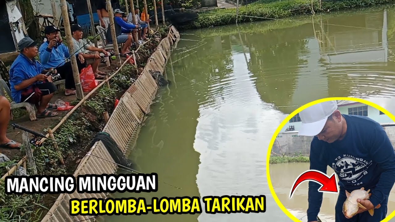 WARBIASAA SEMUA PADA BERLOMBA-LOMBA TARIKAN , RUTINITAS MANCING MINGGUAN