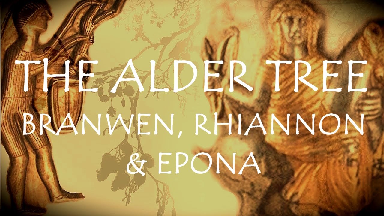 Around the Grove ~ Alder ~ 2024 ~ Branwen, Rhiannon, Epona