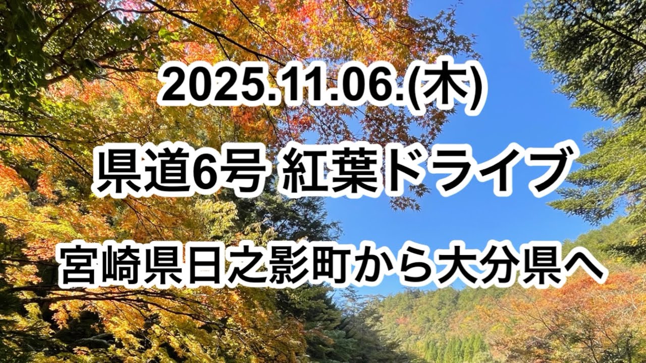 宮崎県の紅葉見物が峠を越えて大分県まで行ってしまう　#日之影町　#見立渓谷　#県道6号　#宮崎県