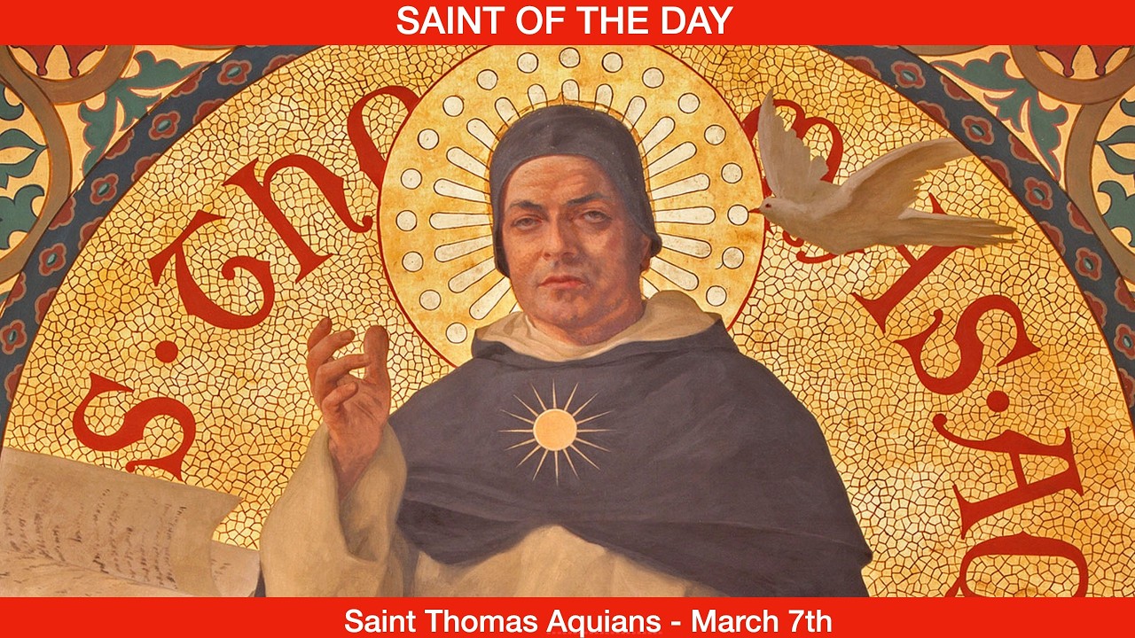 Saint Thomas Aquinas, Doctor of the Church - March 7th