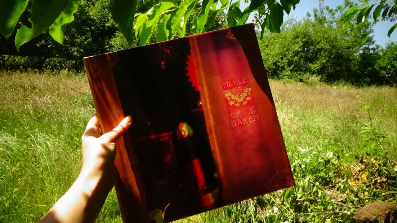 Merle's vinylplaat 'op de daken'
