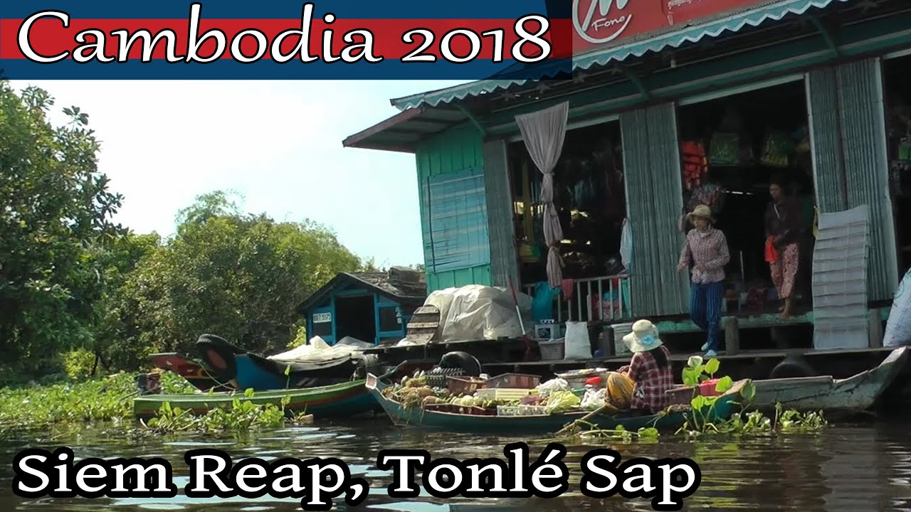 Cambodia 2018, Siem Reap: Tonlé Sap 'Great Lake'  long-tail boat tour and bird watching