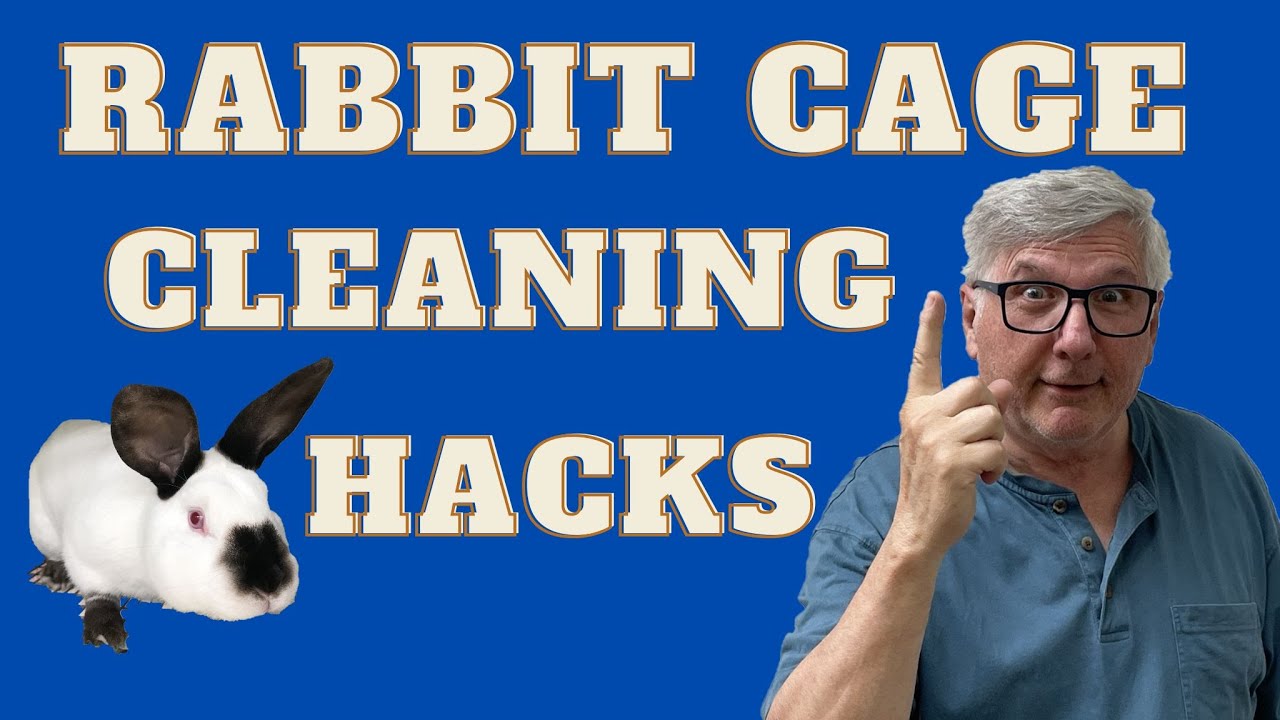 Rabbit Cage Cleaning Made Simple with the Right Tools!