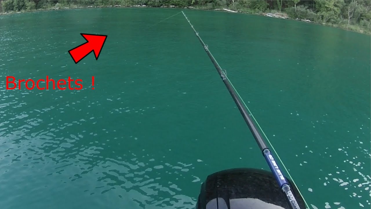 PECHE DU BROCHET EN BATEAU EN LAC ALPINS  ! C'EST UN CARTON ! Brochets aux leurres