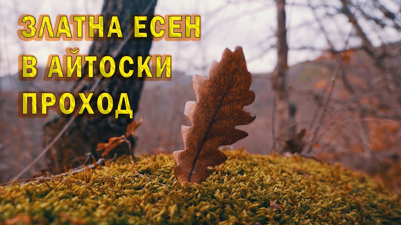 Красивата есенна природа на източна Стара планина./ The beautiful nature of eastern Stara planina.