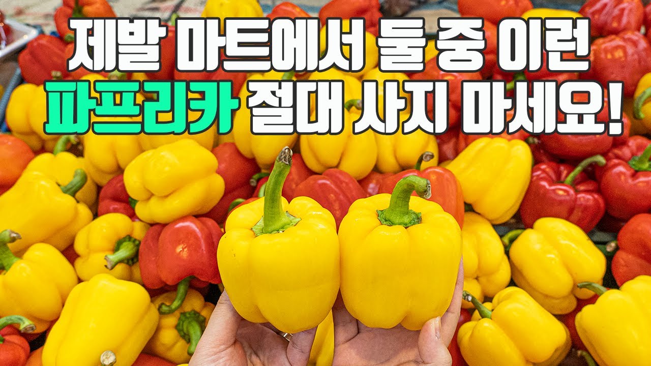 파프리카의 모든것! 이것만 숙지하세요. 고르는법, 손질, 보관법, 효능, 종류까지!!