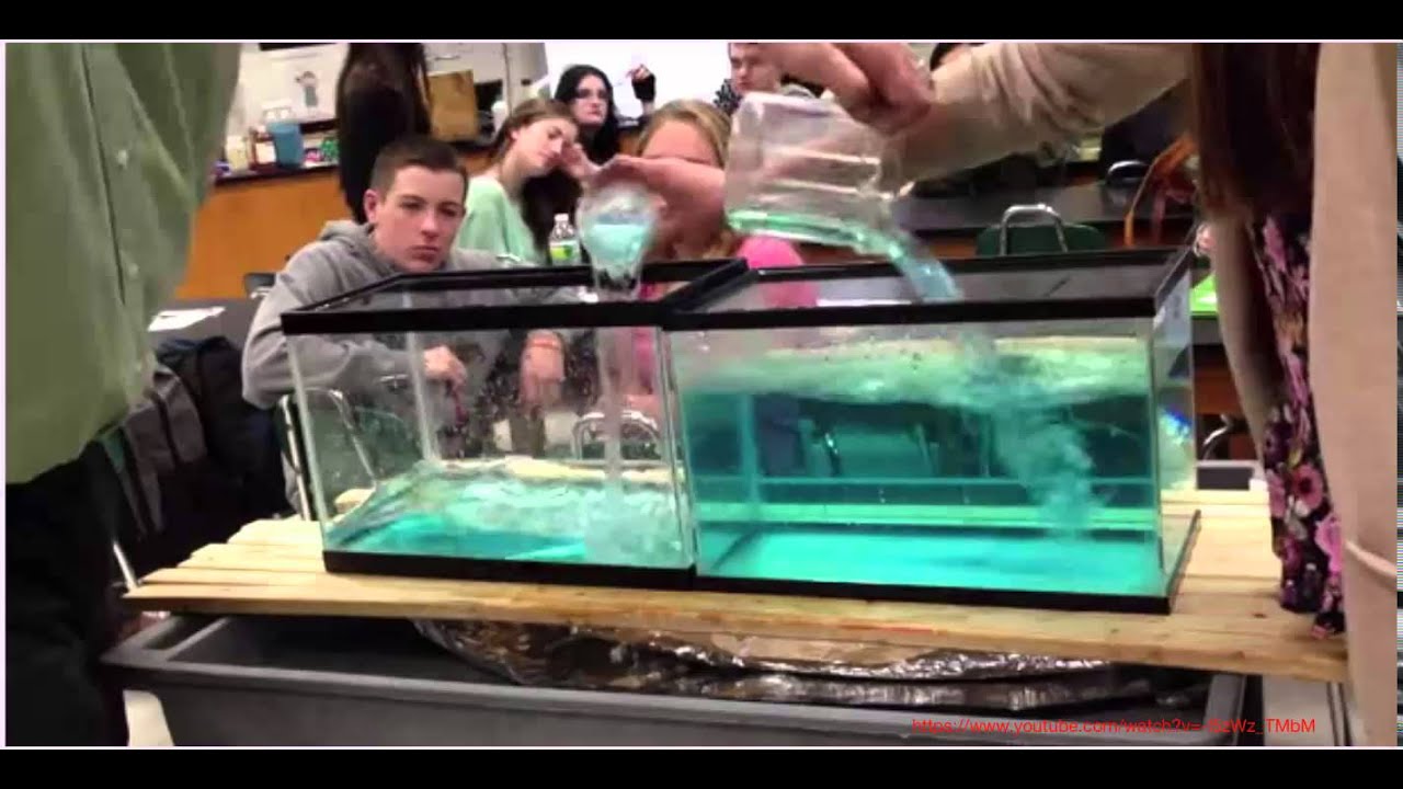 Chem 8.1 - What is dynamic equilibrium?